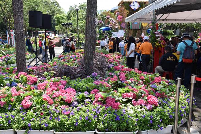 2023南庄花卉节28日上午开幕，许多游客已经到场尝鲜。（谢明俊摄）