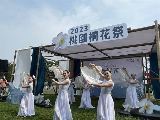 桃园市办理2023客家桐花祭，推出系列活动，邀请民眾来桃园欣赏5月雪盛开，日前开幕现场布景被发现油桐花装饰竟少了花蕊。（蔡明亘摄）
