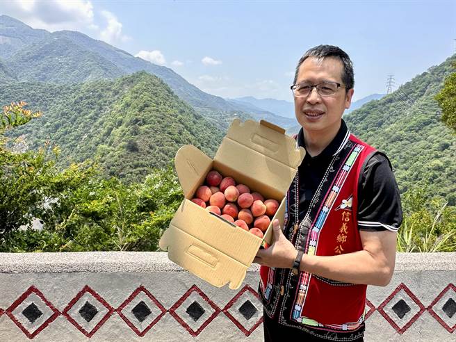 信义乡公所农业观光课长王国庆，大力推荐红玉甜桃。（廖志晃摄）