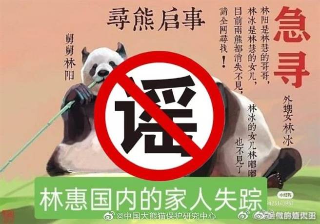 中国大猫熊保护研究中心澄清多只大猫熊相关谣言。（中国大猫熊保护研究中心）