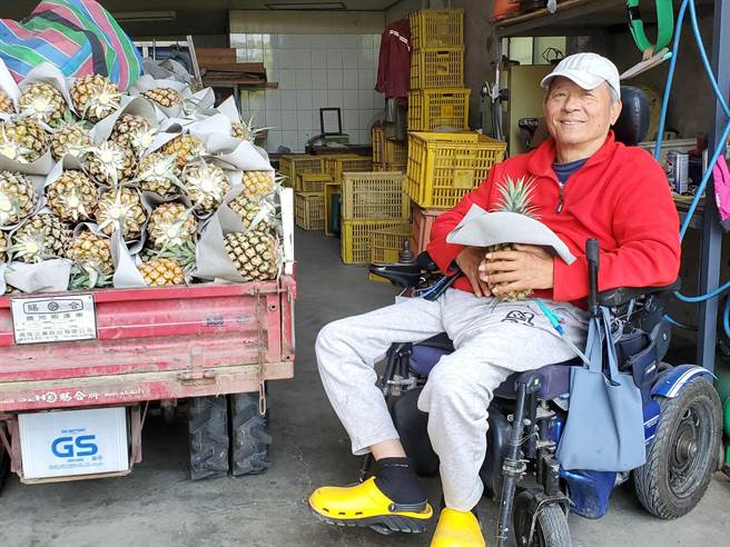 李志琴自从摔伤瘫痪后，转行种凤梨迄今。（周丽兰摄）