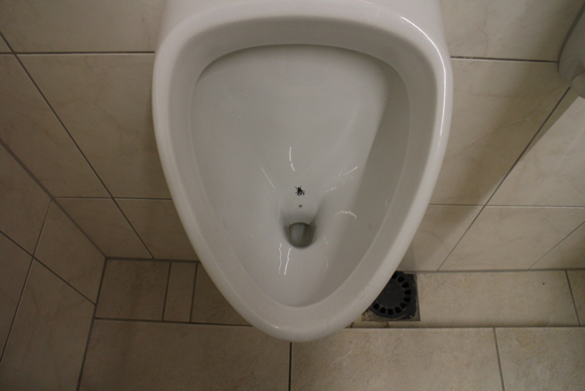 北捷男厕的小便斗贴着苍蝇贴纸，引起网友讨论。（图／shutterstock）