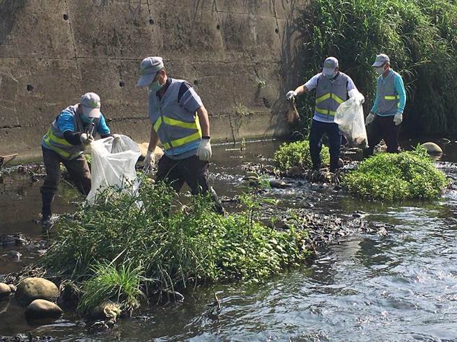 桃园市、新北市、台北市与基隆市联手，今日约有4035人进行联合净滩活动，其中桃园以竹围渔港和周边溪流为净滩主场地。（蔡明亘摄）