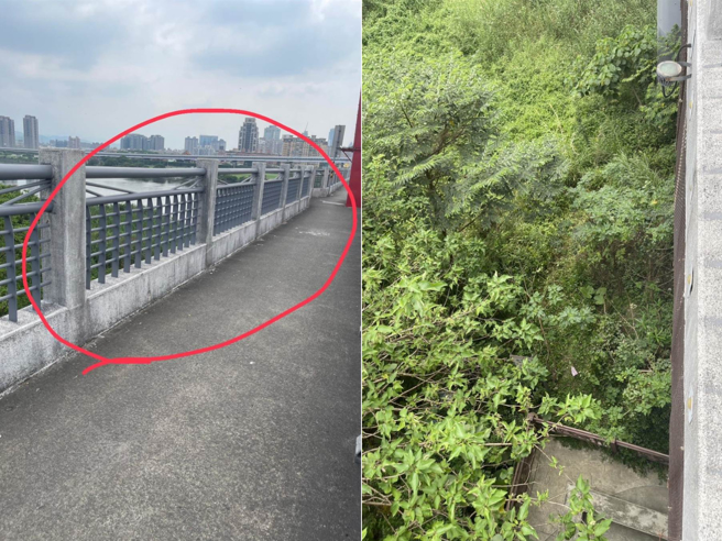 蔡男从光復桥（左）上坠落；坠落至桥下草丛（右）。（警方提供）