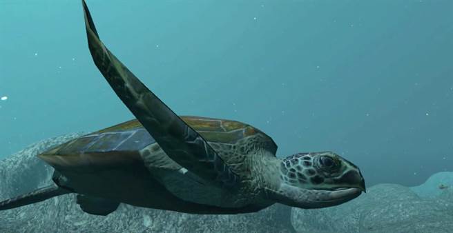 玄奘大学视传系作品「栖息之旅」，7段VR互动情节体验保育海洋与陆域生态的过程。（玄奘提供／陈育贤新竹传真）