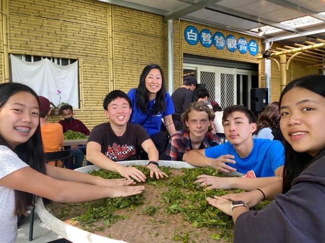 樟湖生态中小学学生和美国育民学校的学生一起在学校的茶园採茶、体验制茶的过程。（樟湖生态中小学校长陈清圳提供）