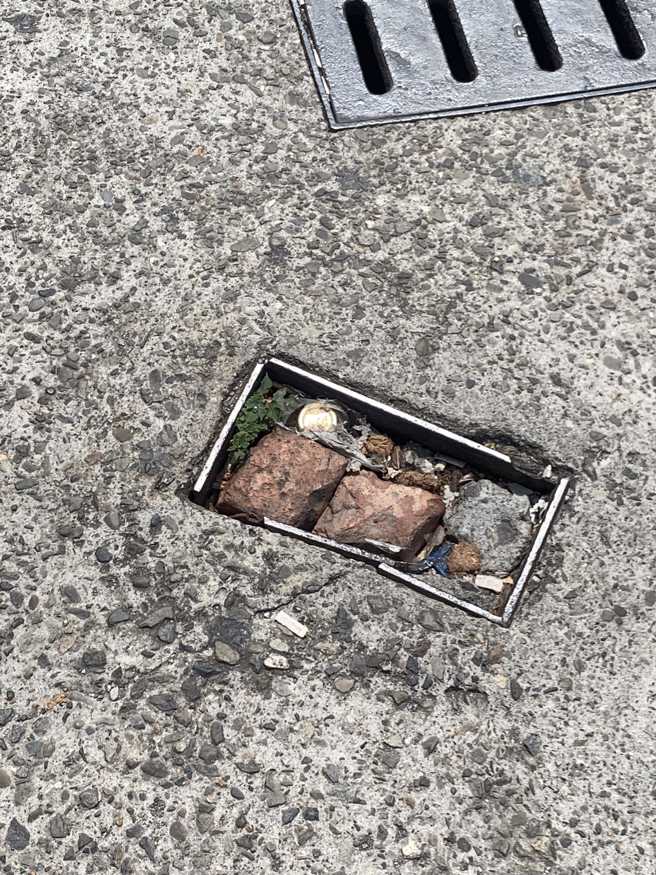 正妹在路上发现一盒「在地控肉饭」，立刻引起4万网友喊讚「太丰富了」。（翻摄自脸书路上观察学院/网友黄小姐授权提供）