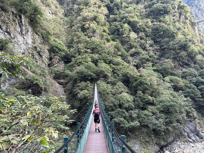 太鲁阁国家公园知名步道锥麓古道因路线环境特殊，有入园承载量管制，平日96人，例假日156人，但太管处配合花莲县政府绝美步道活动，暑假将试行提高每日承载量上限至156人。（罗亦晽摄）