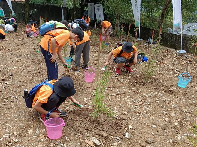 南投林管处表示，今年预计新植造林37.53公顷，栽植逾8.5万株原生种树苗，已获4家企业认养，尚有17.01公顷待认养。（读者提供／张妍溱南投传真）