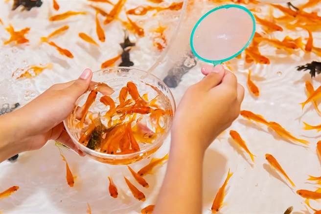 农委会昨公告《动物保护法》修正预告，拟禁止以游戏、营业等目的进行动物交换或赠与。（示意图／达志影像）