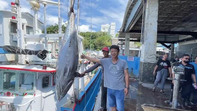 台东县成功镇新港籍两艘渔船总共捕获18条黑鲔鱼，今年4月捕获「成功第一鲔」的44岁船长郑正爱一口气捕获9条黑鲔鱼、加上4颗被吃剩的鱼头。（蔡旻妤摄）