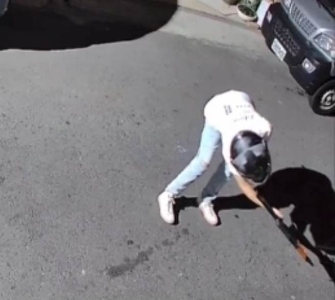 高雄市仁武区一名男子持BB枪射击野猫。（翻摄照片／林瑞益高雄传真）