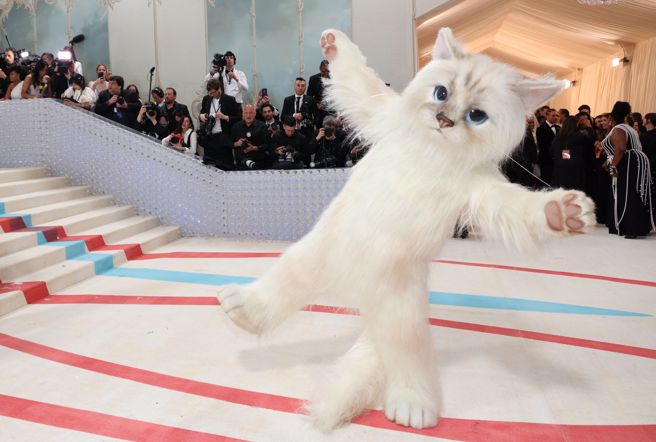 小丑杰瑞德扮猫出席MET GALA 真人版小美人鱼却喊「想回家」-四季巴士