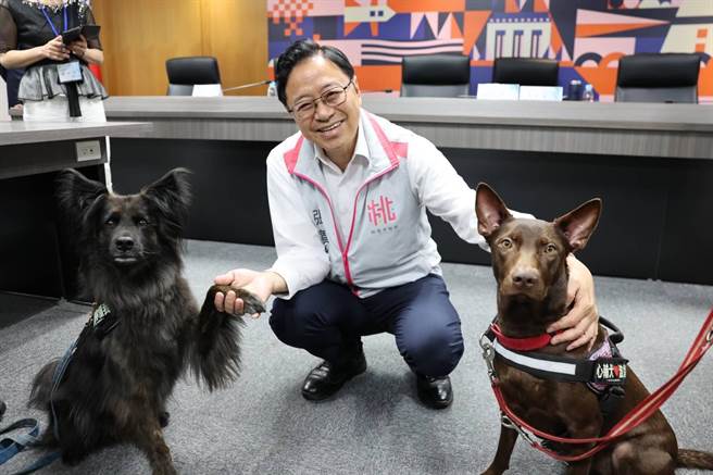 桃园市长张善政主持会议，开心与心辅犬互动。(青年局提供／吕筱蝉桃园传真)