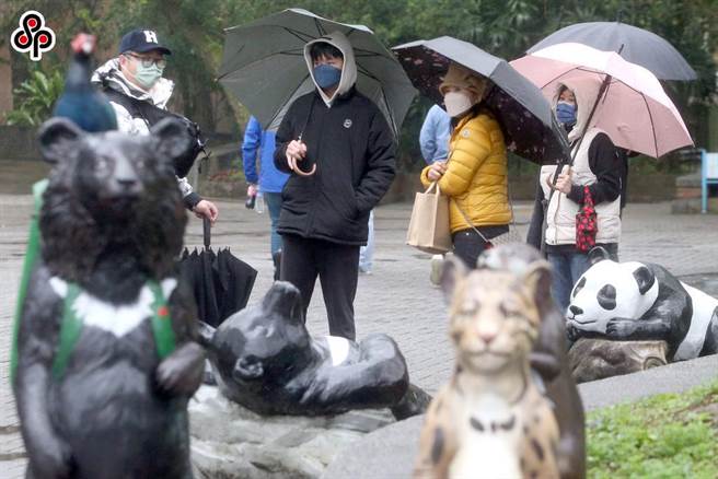 台北市政府教育局长汤志民表示，台北市立动物园因动物过剩会做交换、捐增、借展或借殖，但是环境应该要经过评估。（本报资料照片）