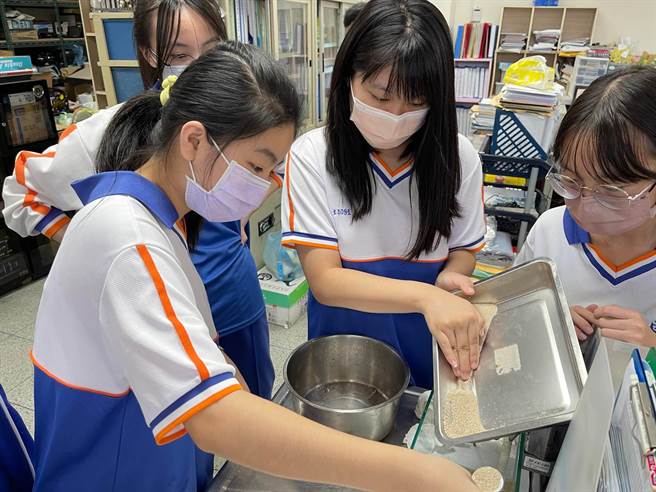 ▲暖暖高中同學正在佈置「鱟寶寶」的生活環境。（基隆市政府提供／徐佑昇基隆傳真）