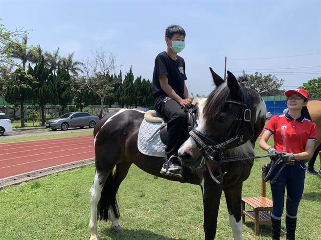 后厝国小与在地的朋驰马场合作，让孩子了解马的习性、种类与特徵。（桃园市教育局提供／陈梦茹桃园传真）