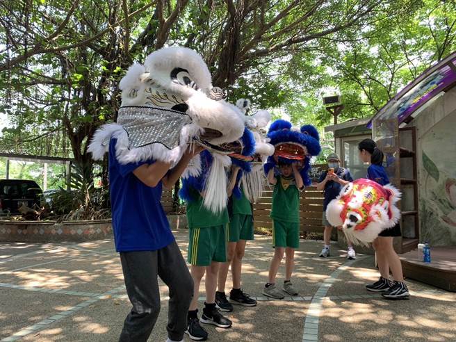 桃园后厝国小今天举行「舞动骑迹 后厝双马」特色游学课程体验。（桃园市教育局提供／陈梦茹桃园传真）