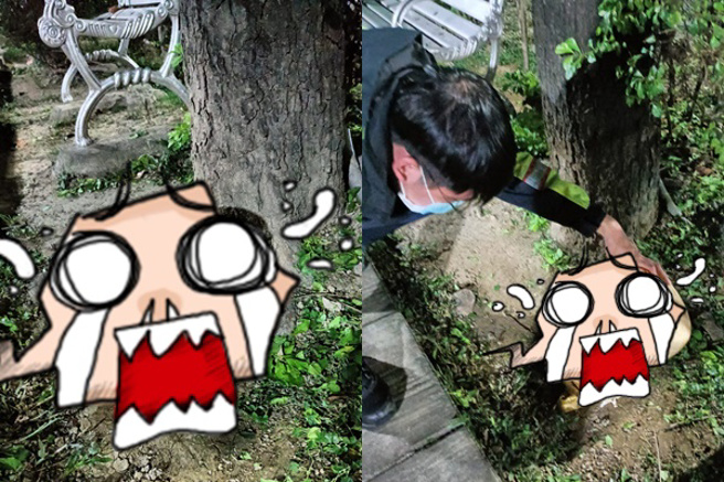 新北公园惊见「有头像」骨灰罈！勇警到场带回，民眾超毛：当树葬腻？(翻摄脸书爆料公社)