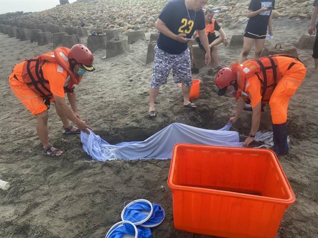 民眾发现海豚搁浅后，立即通报相关单位到场处置。（翻摄照片／蔡明亘桃园传真）