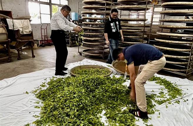 柯文哲發現一杯好茶要經過34至40道工序十分訝異，茶農建議中央政府應該建立移工平台解決缺工問題。（楊靜茹攝）