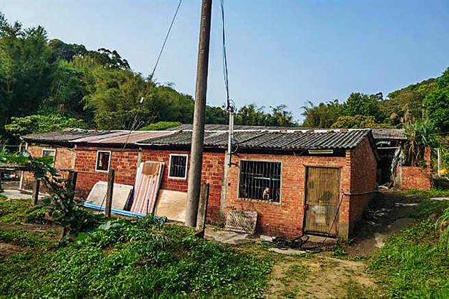 郑姓男子租用老房子饲养宠物犬，被检举不当饲养。（新竹县动保所提供／罗浚滨新竹传真） 