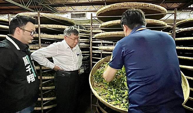 柯文哲认为制茶若能自动化，会比较省工、有效率。（杨静茹摄）