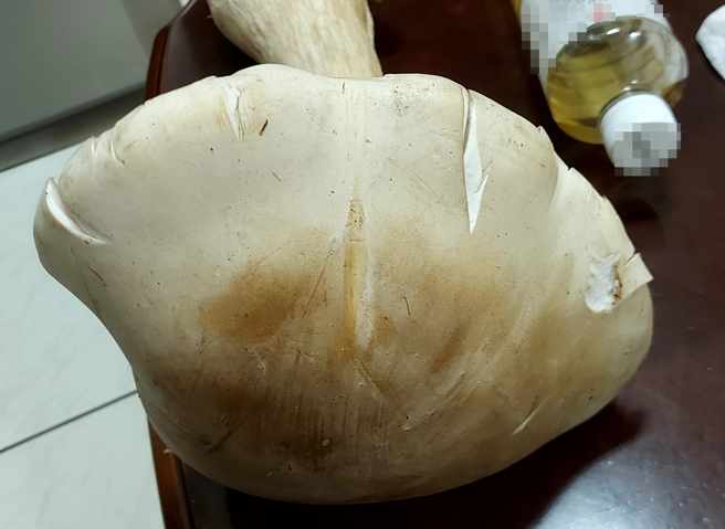 女子因为新奇，从菜市场买回「白色巨菇」，但她发现大过头有些害怕，于是上网求问网友「可吃吗？」。（翻摄自脸书厨艺公社）
