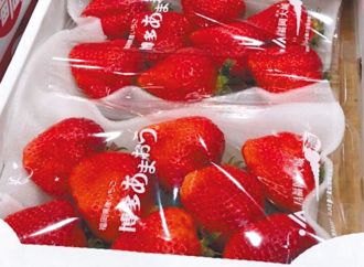 食藥署放寬日本草莓農藥標準 網友嘆：台灣人的命是不是很不值錢？