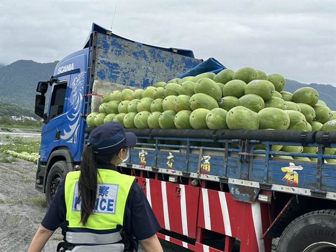 花莲西瓜进入产季，为防止宵小觊觎，玉里、凤林警分局展开「护瓜专案」。（玉里警分局提供／王志伟花莲传真）