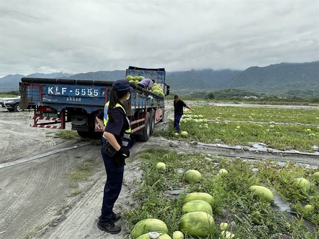 警方到西瓜田巡逻，吓阻窃贼偷瓜。（玉里警分局提供／王志伟花莲传真）