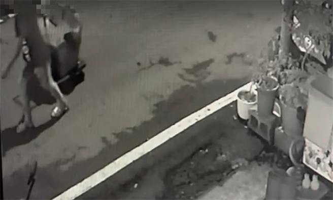 监视器拍下妇人拖着推车，随后推车上就出现木椅。（翻摄照片／高雄洪靖宜传真）