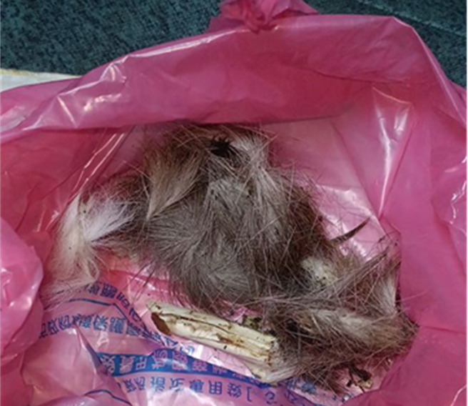稽查人員採集到的動物骨頭毛髮。（動保處提供）