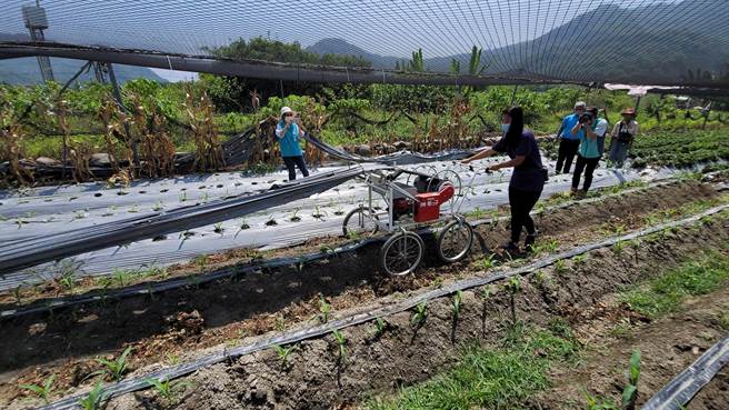女生也能独自操作农膜回收机，边推边快速收卷农膜，还能同时震落农膜上的杂草、土砂。（民眾提供／杨静茹南投传真）