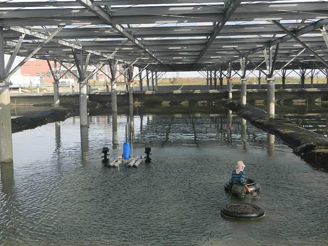 以農業容許方式推動光電，雲林縣沿海3鄉鎮近600公頃優先推動。（本報資料照片）