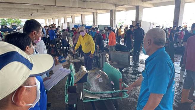 迎接黑鲔鱼文化观光季到来，屏县府推出限定东港小旅行，目前首发团6、7日释出最后名额，精彩游程最低下杀4折。（屏县府提供／谢佳潾屏东传真）