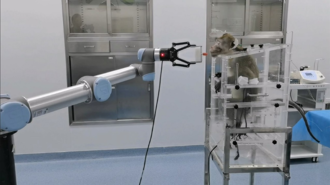 全球首例 中國腦機接口技術大突破：猴腦主動操控機械臂