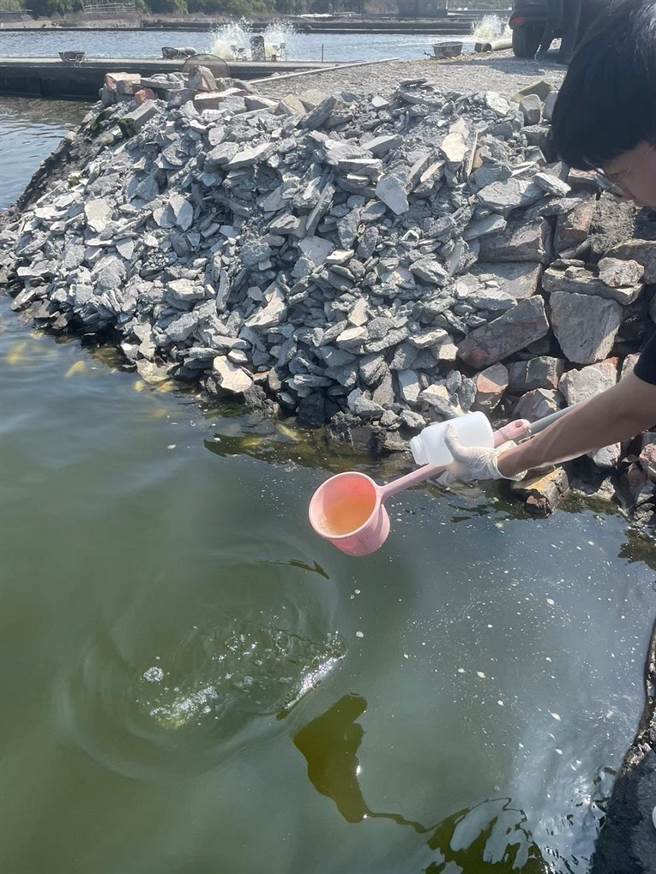 屏县府全力把关食安，县内石斑鱼全数未检出药物残留。(屏县府提供)