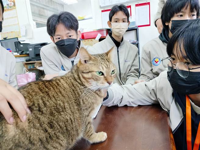 学童们开心与毛宝贝互动玩耍。（新北市动保处提供）