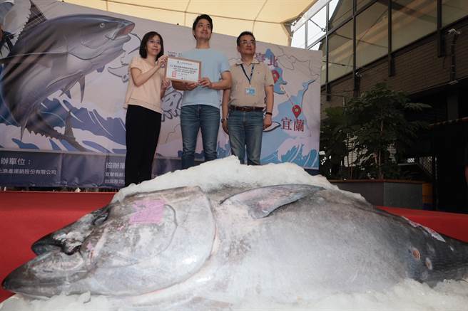 台北市长蒋万安（中）6日以「宜兰女婿」身份出席「宜兰台北新鲜直送」黑鲔鱼活动，现场也展出192公斤的巨型黑鲔鱼。