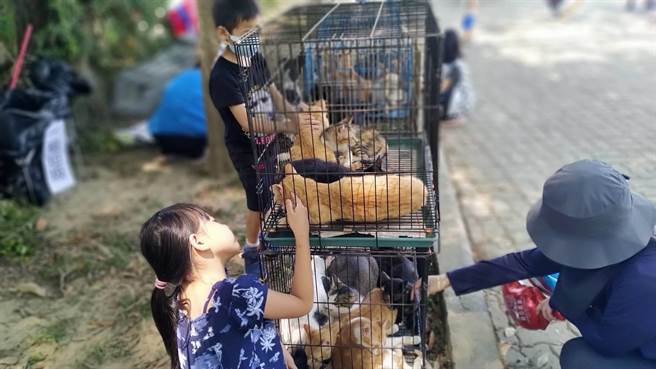 南投县议员简千翔主办的「亲子眾乐乐公益小市集」在中兴新村展开，现场有流浪狗认养等多项活动。（民眾提供／冯惠宜南投传真）、