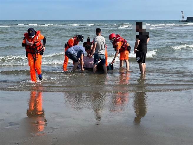 苗栗县苑里镇出水里沙滩6日上午出现一只小抹鱼鲸搁浅，海巡署中部分署第3岸巡队苑里安检所官兵赶往援救。（海巡署第3岸巡队提供／谢明俊苗栗传真）