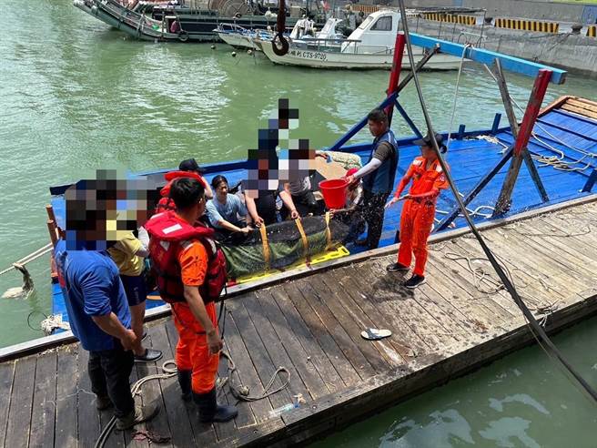 苗栗县苑里镇出水里沙滩6日上午出现一只小抹鱼鲸搁浅，海巡署中部分署第3岸巡队苑里安检所官兵赶往援救，安全送至基隆八斗子救援站治疗。（海巡署第3岸巡队提供／谢明俊苗栗传真）