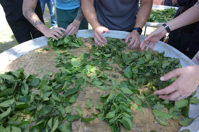 励志梦想学院歷时9个月筹备今启用，是第一个实践公私协力合力完成的实习场域，目前已培育出首位制茶师及台湾史上最年轻的托育人员。（励志中学提供／吴建辉彰化提供）