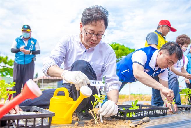 桃园市大园溪海休閒农业区今日办理种西瓜体验活动，桃园市长张善政发挥过去种南瓜的经验，在现场示范如何种植西瓜。（桃园市政府提供／蔡明亘桃园传真）