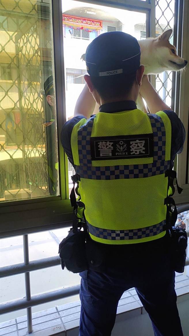 台南市永康警分局永信派出所警员救下受困遮雨棚的柴犬。（永康警分局提供／洪荣志台南传真）