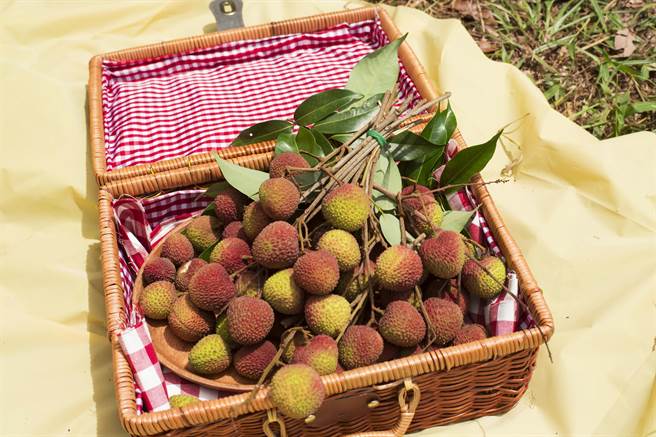 高雄玉荷包礼盒上市，农业局欢迎民眾上网预购。（高雄市农业局提供／林瑞益高雄传真）