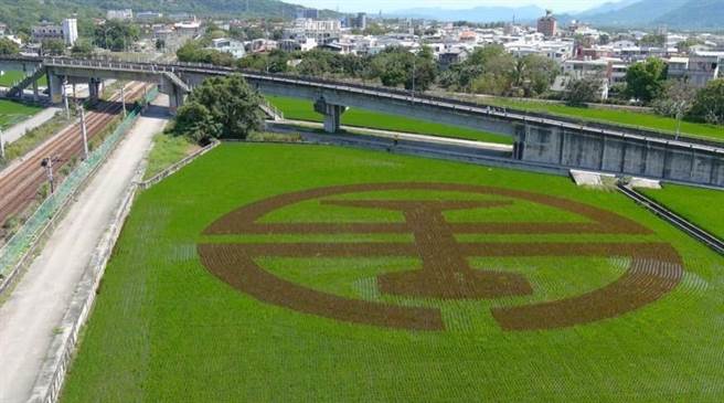 花蓮玉里鎮客城鐵橋旁的翠綠稻海裡，近日悄悄地繪上臺鐵經典LOGO，即日起至6月中旬稻米收割前，旅客行經玉里-富里路段時，可自火車車窗飽覽稻田彩繪美景。（臺鐵局提供／羅亦晽花蓮傳真）