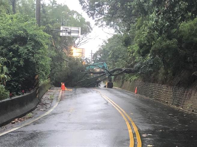 彰化县员林市员草路7日深夜大雨一棵巨大路树应声倒塌，阻断道路，直到清晨6点才完成排除。(民眾提供／吴建辉彰化传真)