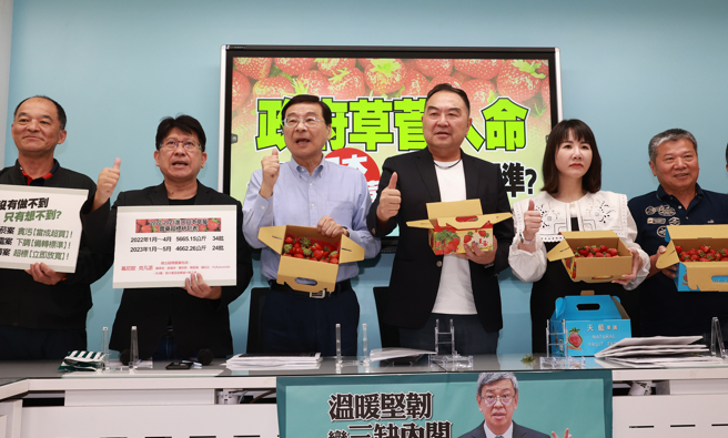 国民党立法院党团首席副书记长林思铭（左二起至右）、总召曾铭宗、立委徐志荣、书记长谢衣鳯8日召开「政府草菅人命～放宽日本草莓农药残留标准？」记者会，并与苗栗县大湖区农会理事长刘兴政（右二）等人一起推荐大湖草莓。（刘宗龙摄）